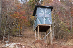 Whitetail Deer Hunting Blind