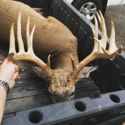 Trophy Whitetail Hunting