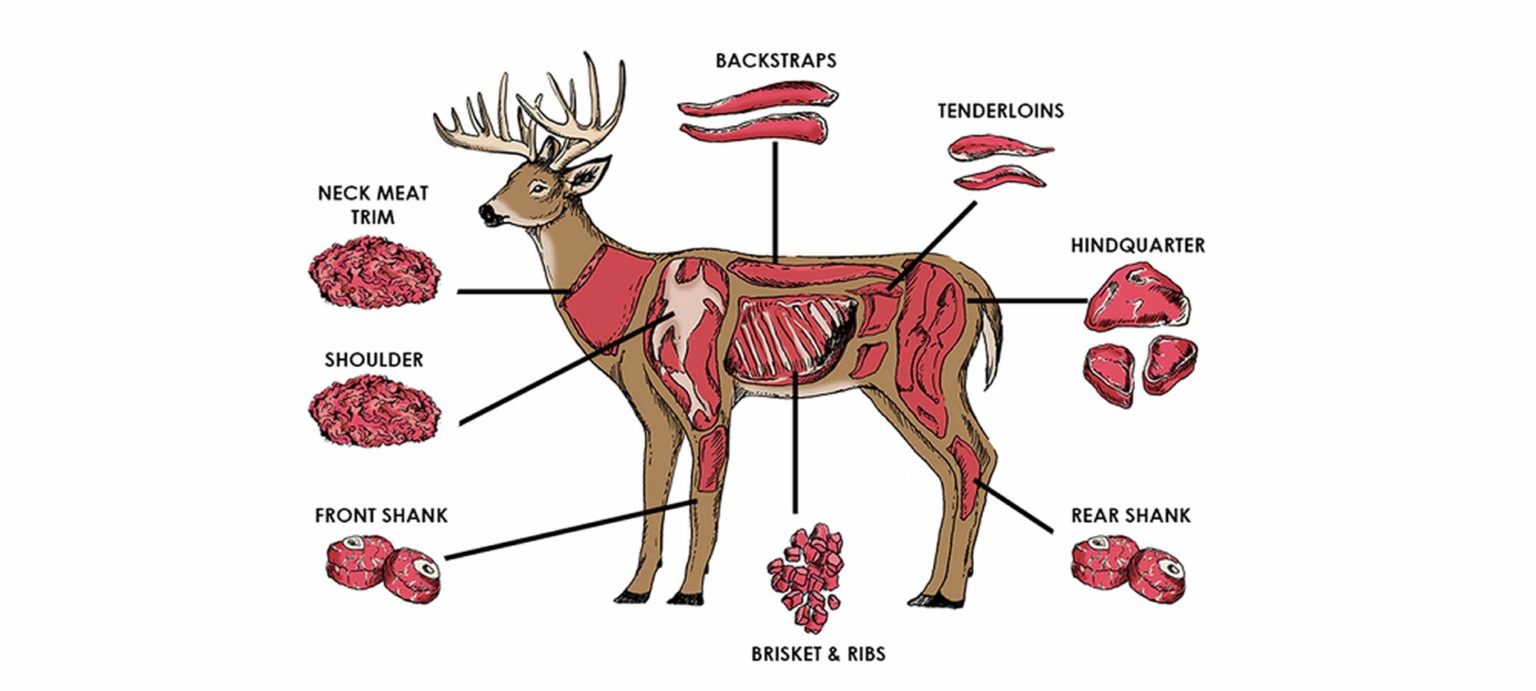 DEER MEAT BENEFITS Dannerholz Whitetails deer-meat-benefits-dannerholz-whitetails